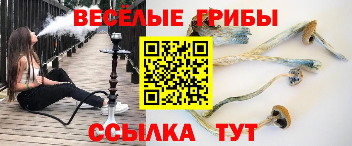 Жигулёвск  Галлюциногенные грибы мухоморы  Псилоцибиновые грибы мицелий  Вход с VPN 