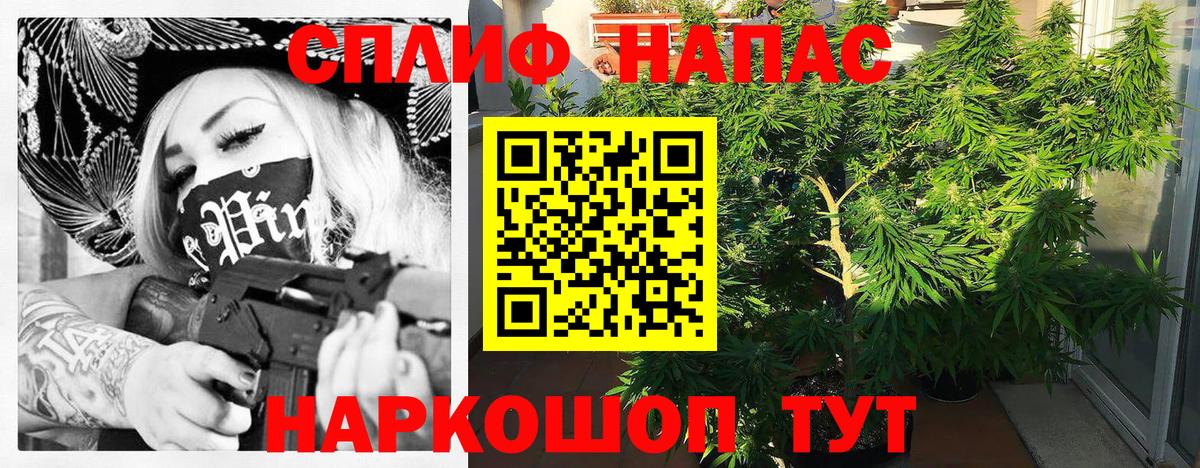Конопля VHQ  МАРИХУАНА семена  Вход с VPN  Жигулёвск  Конопля марихуана 